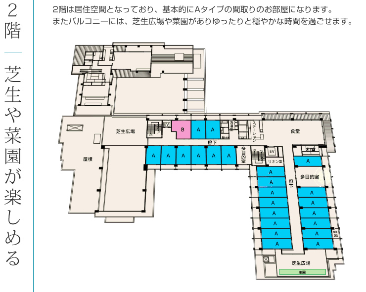 2階：芝生や菜園が楽しめる。2階は居住空間となっており、基本的にAタイプの間取りのお部屋になります。またバルコニーには、芝生広場や菜園がありゆったりと穏やかな時間を過ごせます。