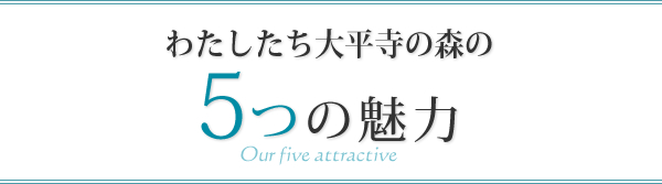 わたしたち大平寺の森の5つの魅力