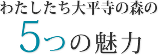 わたしたち大平寺の森の5つの魅力